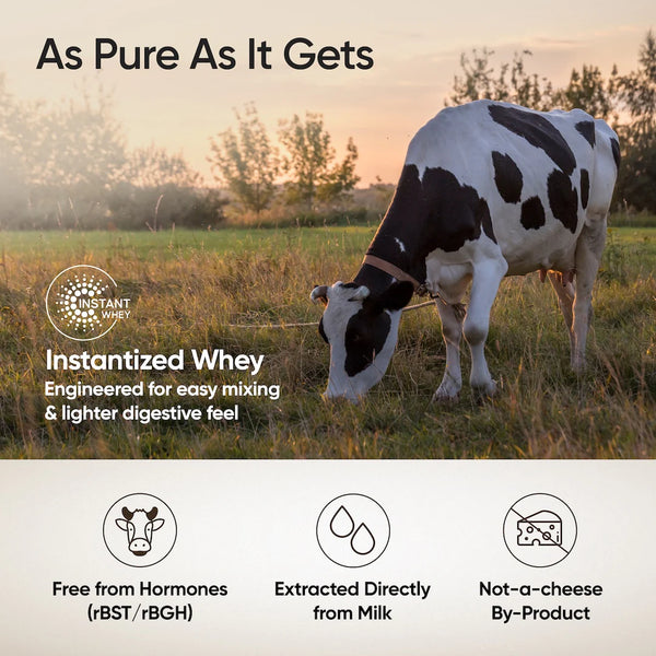 Whey Protein Isolate 31g | 1kg | 4B CFU Probiotics | Unflavoured