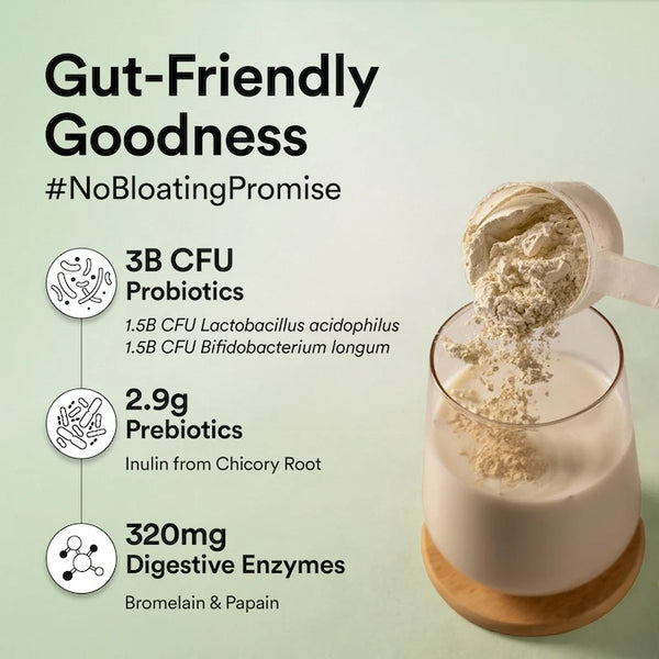 Vegan Protein 22g | 500g | 3B CFU Probiotics | French Vanilla Caramel