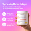 Marine Collagen Powder