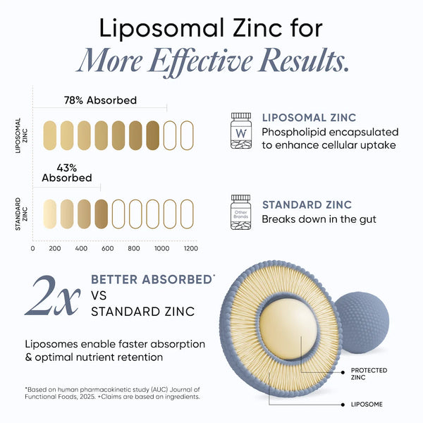 Liposomal Zinc Complex (Chelated) | Pack of 60 Capsules