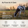 Whey Protein Concentrate 27g | 1kg | 4B CFU Probiotics | Unflavoured