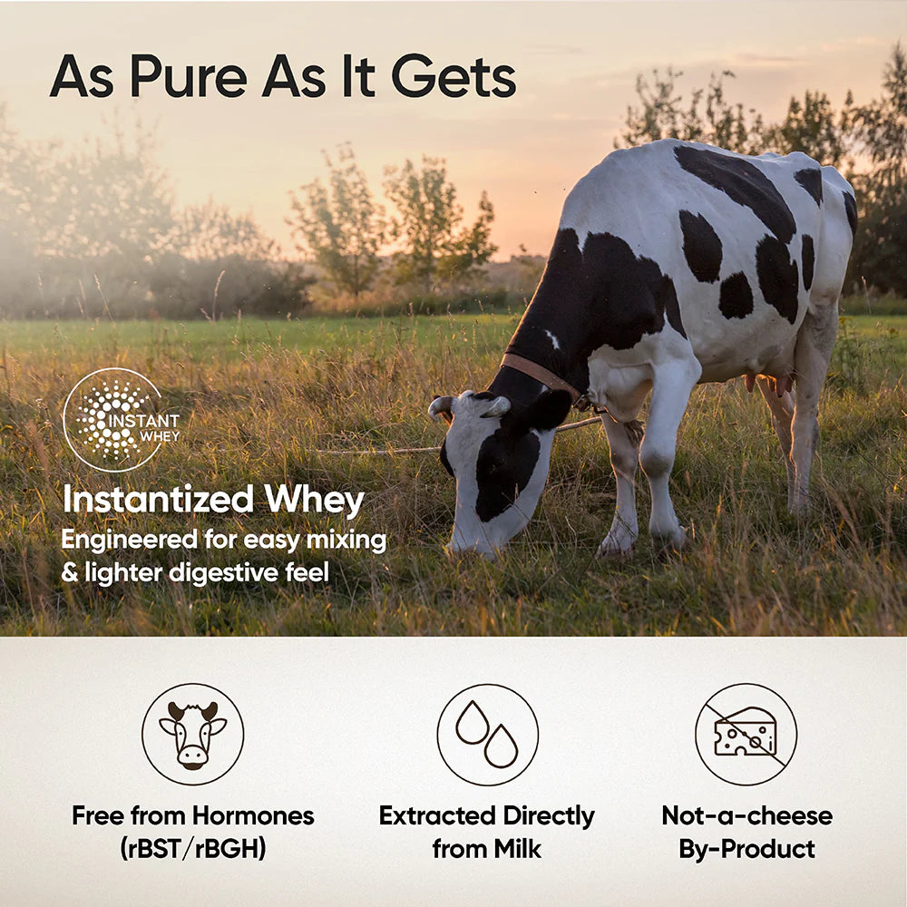 Whey Protein Isolate + Concentrate 24g | 1kg| 4B CFU Probiotics | Cappuccino