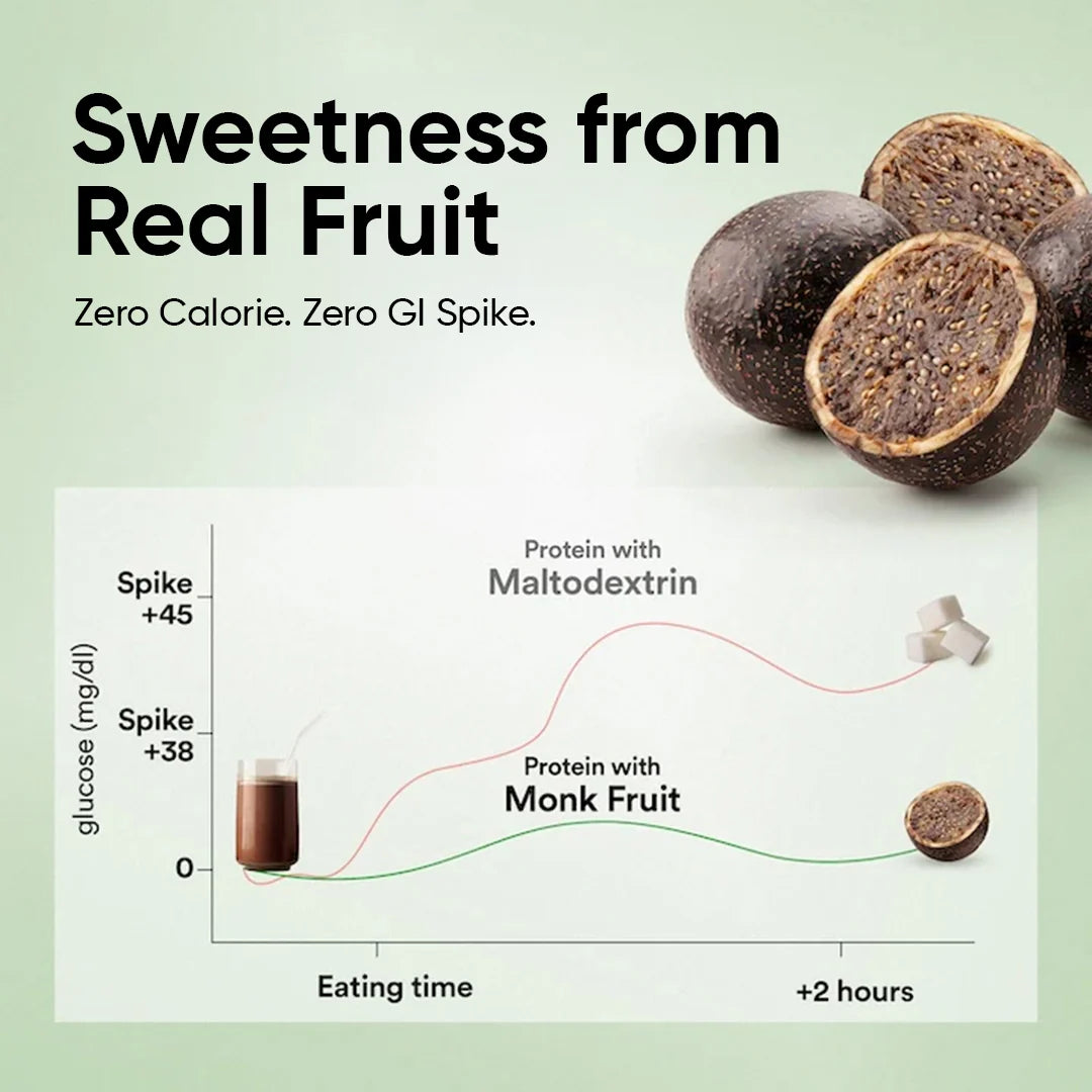 Plant Protein 22g | 500g | 3B CFU Probiotics | Dark Chocolate Hazelnut