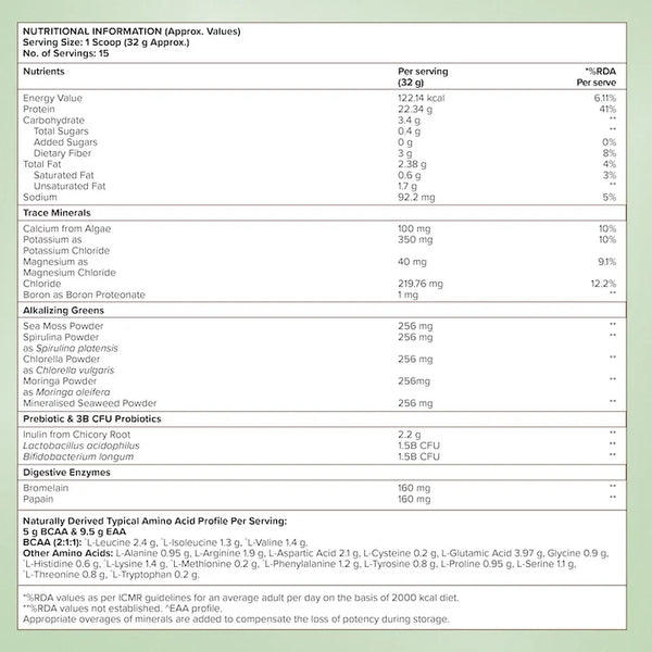 Plant Protein 22g | 500g | 3B CFU Probiotics | Dark Chocolate Hazelnut
