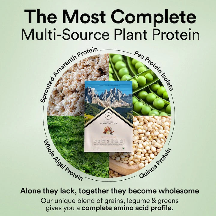 Vegan Protein 22g | 500g | 3B CFU Probiotics | French Vanilla Caramel