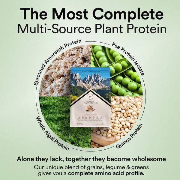 Vegan Protein 22g | 500g | 3B CFU Probiotics | French Vanilla Caramel