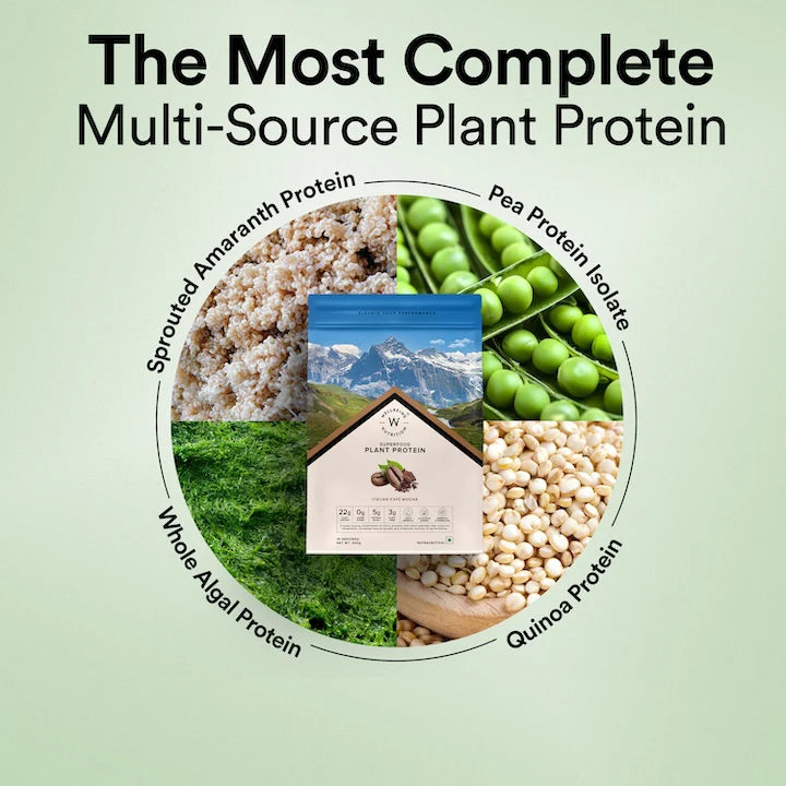 Vegan Protein 22g | 500g | 3B CFU Probiotics | Italian Cafe Mocha