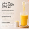 Whey Protein Isolate + Concentrate 24g | 1kg | 4B CFU Probiotics | Mango Flavoured