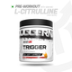 Trigger (Pre-Workout) Fruit Punch