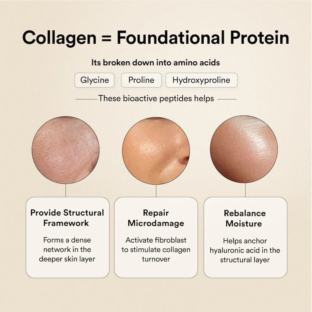 Pure Korean Marine Collagen Peptides | Unflavored | Combat Signs of Ageing