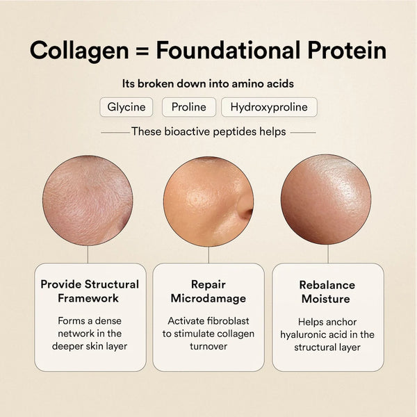 Pure Korean Marine Collagen Peptides | Unflavored | Combat Signs of Ageing
