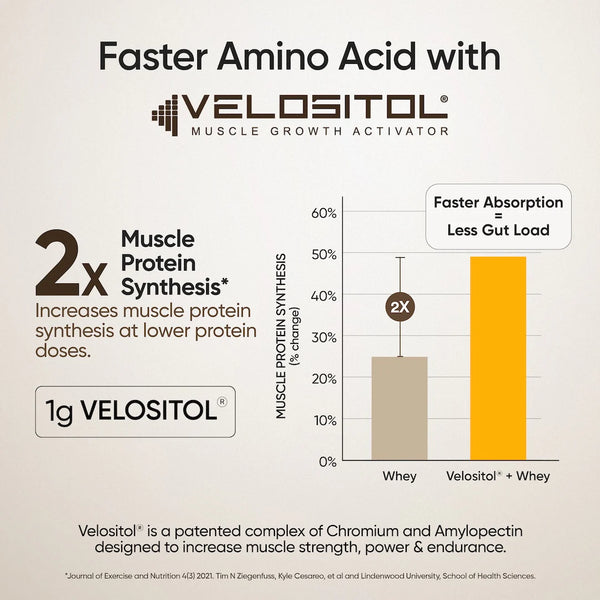 Whey Protein Isolate + Concentrate 24g | 1kg | 4B CFU Probiotics | Mango Flavoured